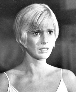 Mimsy Farmer