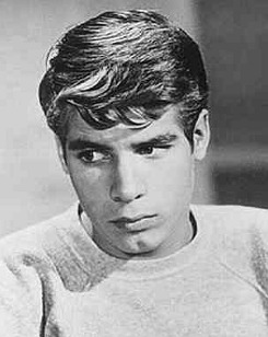 Don Grady